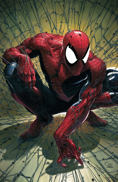 
            
                Load image into Gallery viewer, Spider-Man #1 Torment Facsimile Clayton Crain Virgin Variant Set
            
        